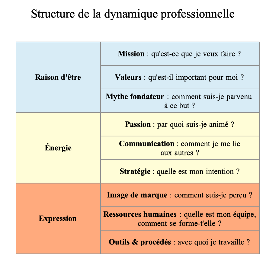 Structure de la dynamique professionnelle — tableau à neuf critères